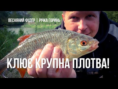 Видео: СЕКРЕТ РОЗКРИТО! КРУПНА ПЛОТВА ПРЕ на ФІДЕР на ЦЮ НАСАДКУ!