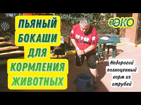 Видео: Бокаши для корма животных, заменят любые корма. Делюсь опытом.