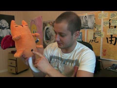 Видео: ОБЗОР ОТ БРО - ИГРУШКИ "DOODOLLS"