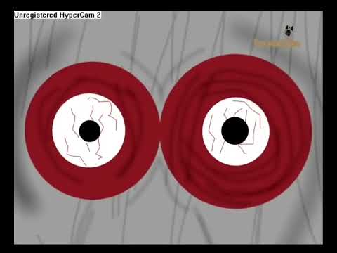 Видео: Оригинал инцидента недовольный сотрудник на Гогусятине тв