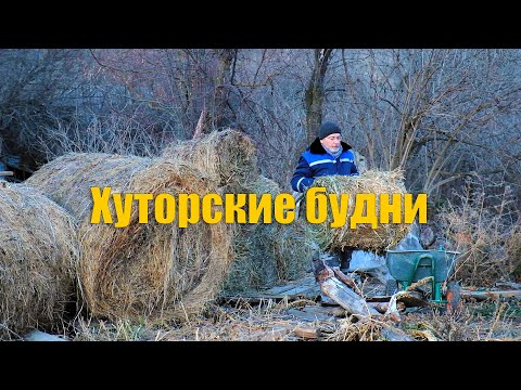 Видео: #75 Будни на хуторе. Пышные оладьи рецепт.