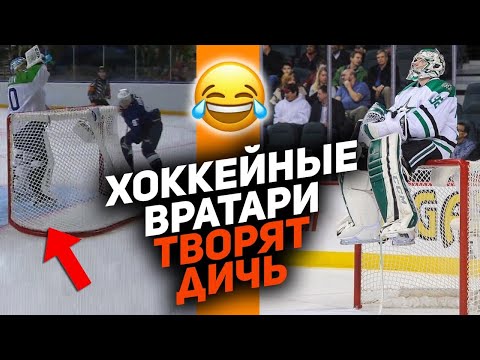 Видео: ВРАТАРИ – ЛЮДИ ОСОБЫЕ: 10 случаев, когда хоккейные голкиперы творили на льду странные вещи