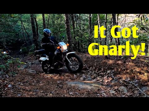 Видео: Yamaha TW200 Winter Ride 2024 Часть 2 | 4 TW200 в приключении