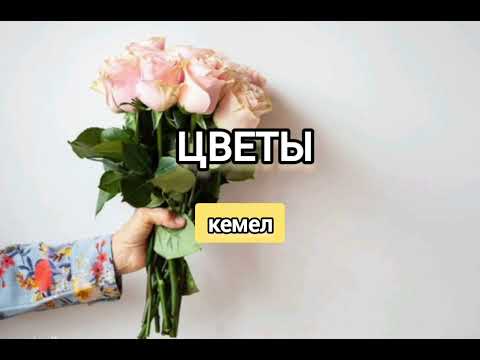 Видео: Кемел - "Цветы" | Жаңа Хит Ән 2025