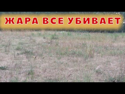 Видео: Трудобудни в жару... зима не ждет!