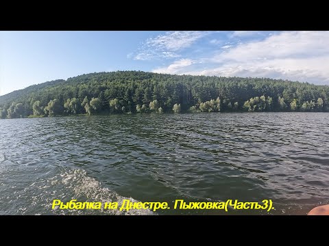 Видео: Рибалка на Дністрі!!! Пижівка (Частина3)