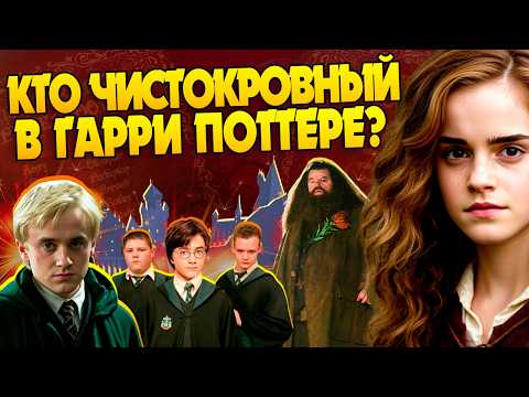 Видео: Кто в Гарри Поттере Грязнокровка на Самом Деле?