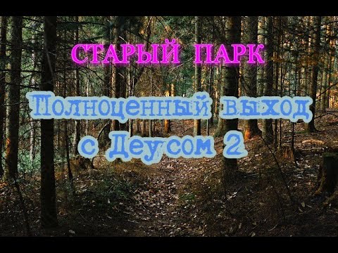 Видео: СТАРЫЙ ПАРК "ПОЛНОЦЕННЫЙ ВЫХОД С ДЕУСОМ 2"