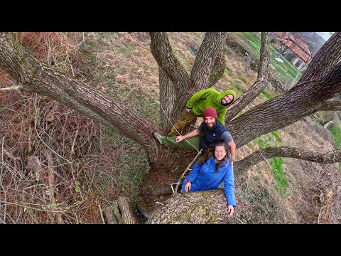 Видео: ЖИВОТ на СЕЛО: Как се грижим за ОПАСНИТЕ и високи ДЪРВЕТА