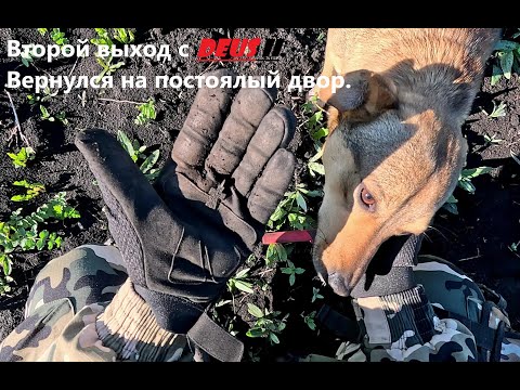 Видео: Второй выход с XP DEUS II. Вернулся на постоялый двор.