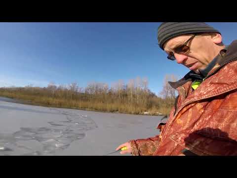 Видео: ПЕРВЫЙ ЛЕД 2024/ОКУНЕК