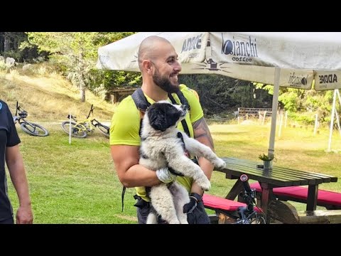 Видео: х. Малина. Спасих изгубено кученце!