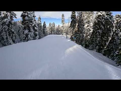 Видео: Роза Хутор, новая трасса "Календула" (синяя)/ Rosa Khutor, new piste "Kalendula" (blue), 4К Video