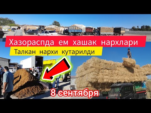 Видео: ХАЗОРАСПДА ЕМ ХАШАК НАРХЛАРИ 8 СЕНТЯБРЯ 2024.Г