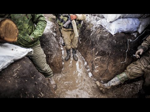 Видео: Гуманитарный стрим - "Проблема 500" и другие неприятности (гость - Максим)