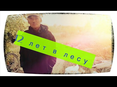 Видео: Отшельник. 12 лет живёт в лесу