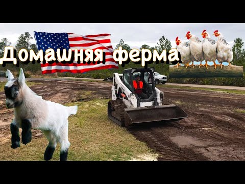 Видео: Домашнее хозяйство в США.