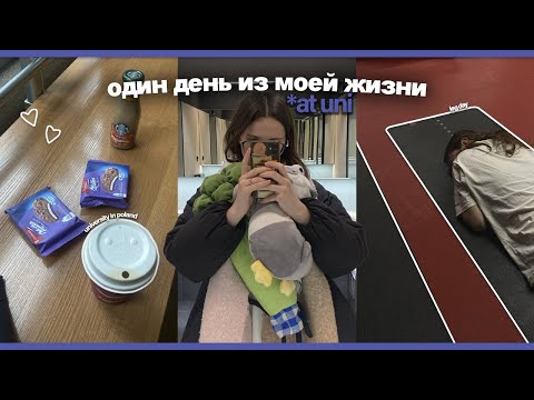 Видео: один день из жизни студента в польше | студенческая жизнь, мой университет, тренажерный зал