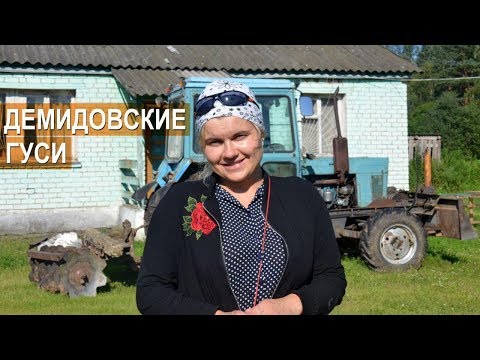 Видео: Как дела на ферме Демидовские гуси. Что нового в 2018 году