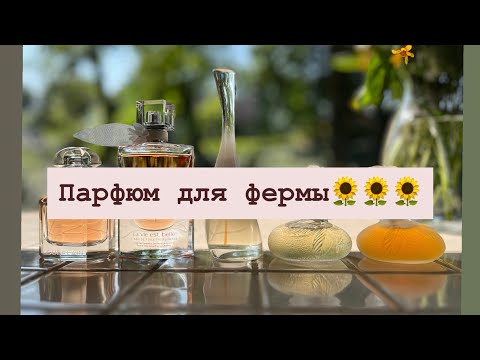 Видео: Выбираем парфюм для экскурсии в поля🌻🌻🌻