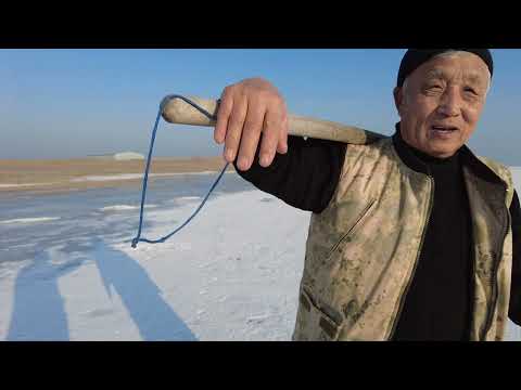 Видео: #КАПЧАГАЙ РЫБАЛКА . РАЗВЕДКА - 02.01.2022Г. ЛАЗУРНЫЙ БЕРЕГ. ЛЕД ЕСТЬ !