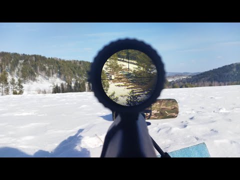 Видео: Тигр 7.62х54 и AR-10 308 стрельба по гонгам на 500м , второй выезд.