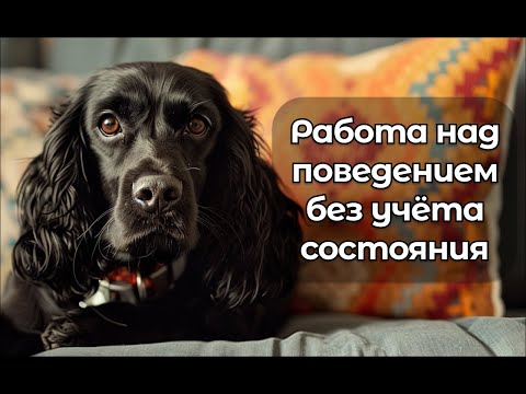 Видео: Разбор видео с канала Женя Иванов