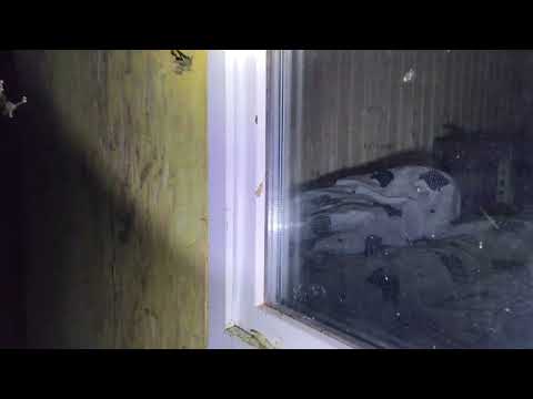 Видео: Поход в импровизированный кемпинг лагерь