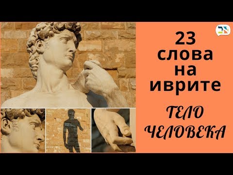 Видео: 23 слова на иврите ☺ ЧЕЛОВЕК, ТЕЛО ЧЕЛОВЕКА, ЛИЦО иврит ☺ Изучение иврита