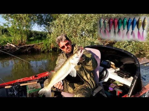 Видео: ЭТУ РЫБАЛКУ СДЕЛАЛ ПАРАЛОН . Рыбалка на Оби ( Сузун ) 8 августа 2023г.