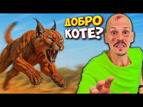 Видео: Не ги гледай! 11 ЗАБРАНЕНИ Котки