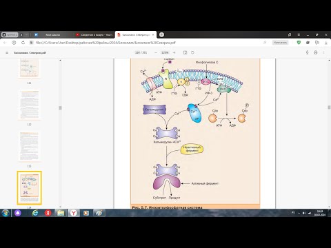 Видео: Инозитолфосфатный механизм передачи сигнала в клетку