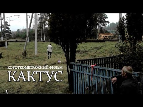 Видео: КАКТУС / Короткометражный фильм / Андрей Кашперский