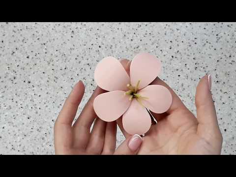 Видео: Красивый шоколадный цветок🌸\Beautiful chocolate flower