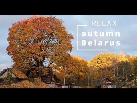 Видео: RELAX / AUTUMN  BELARUS   DREAMS  AND MEMORIES / Осень БЕЛАРУСИ , МЕЧТЫ и ВОСПОМИНАНИЯ 42 серия