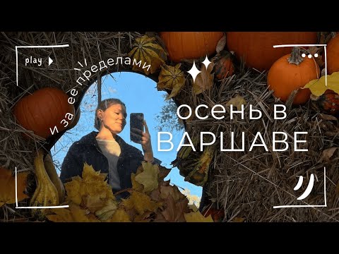 Видео: ОСЕННИЙ ВЛОГ| Где искать настроение.| Сафари по-польски,  кафе Гарри Поттера, тыквенная ферма.