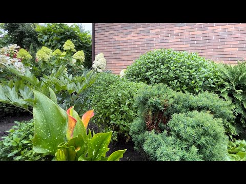 Видео: Ч.1. ПОДДЕРЖИВАЕМ ЛАНДШАФТНЫЙ ДИЗАЙН САДА: ПЛАНОВЫЙ УХОД ЗА ДЕКОРАТИВНЫМИ РАСТЕНИЯМИ! ОБЗОР!