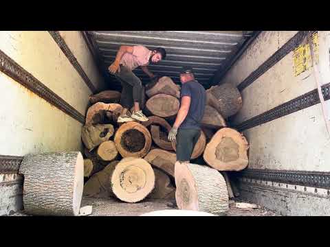 Видео: 🌳Як ми завантажуємо дрова🪵🪵🪵