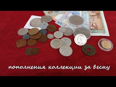Видео: Пополнения в коллекции за весну! #нумизматика #история #монетыссср #банкноты #монеты