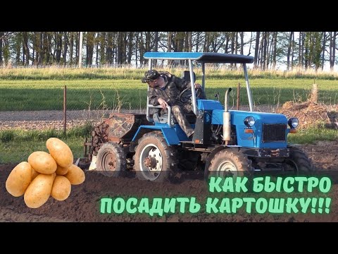 Видео: Секрет быстрой посадки картофеля для хорошего урожая.