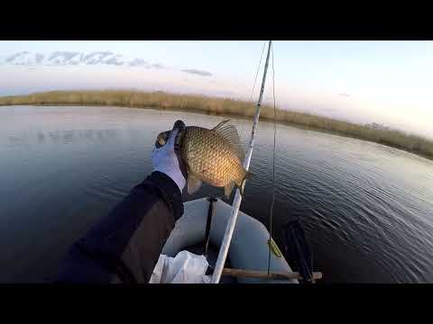 Видео: Рыба прёт!!! Рыбалка на паук!!! Рыбалка мечта!!!