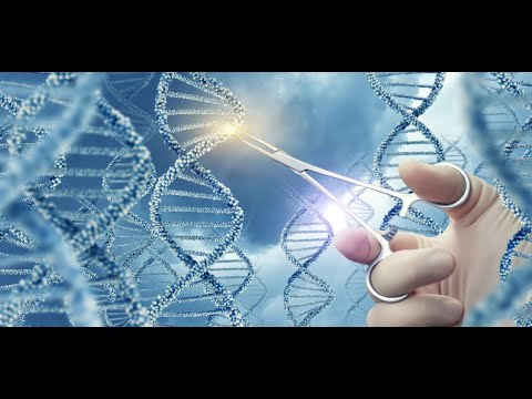 Видео: МЕРЗОСТЬ ЗАПУСТЕНИЯ на крыле Храма ...////  Ольга Голикова