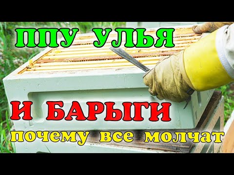 Видео: УЛЕЙ ППУ И БАРЫГИ. ФОРМЫ ДЛЯ ЛИТЬЯ ИЗ...ТЕОРИЯ ОБМАНА ( МАРКЕТИНГА). BEEKEEPING. ПЧЕЛОВОДСТВО. Bee.