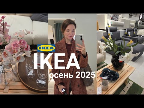 Видео: IKEA VLOG. Новинки осени в IKEA, прогулка по магазину и обед в кафе 🖤