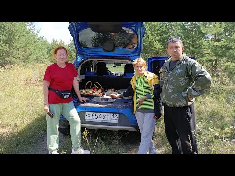 Видео: Сходили на разведку, жарим и маринуем....