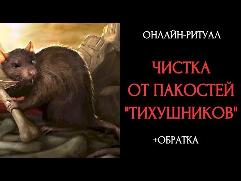Видео: СНЯТЬ НЕГАТИВ ОТ "ТИХУШНИКОВ"l ОНЛАЙН-РИТУАЛ