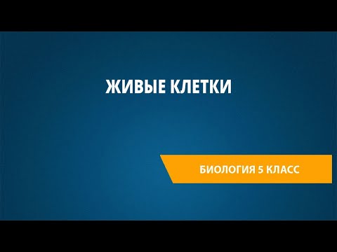 Видео: Живые клетки