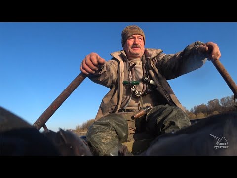 Видео: Охота на селезней с подсадными утками. Ока, весна 2020. Часть 1