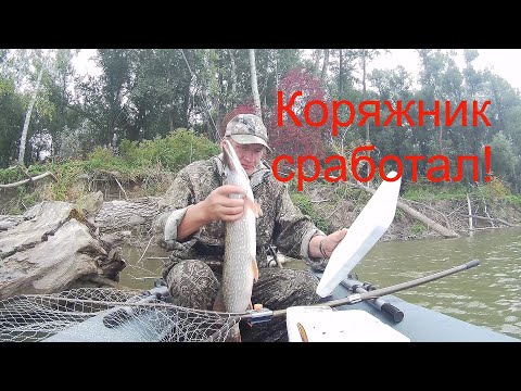 Видео: Опять коряжник сработал! Рыбалка на Оби.