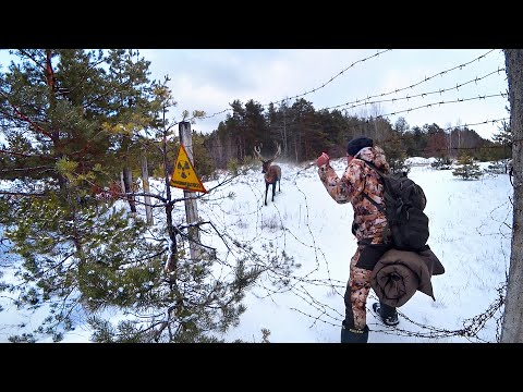 Видео: 24-Часа в Чернобыльской Зоне зимой [1-Часть] Поставил фото ловушку